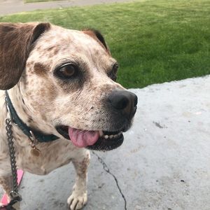 Meet your Posher, Nina